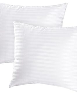 Throw Pillow Inserts, Machine Washable Pillows,Premium Polyester Fiber Fill for Sofa Bed & Decorative Cushions (White, 18x18inch)